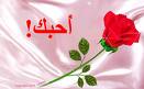 ohdiha li 7obi oussama
